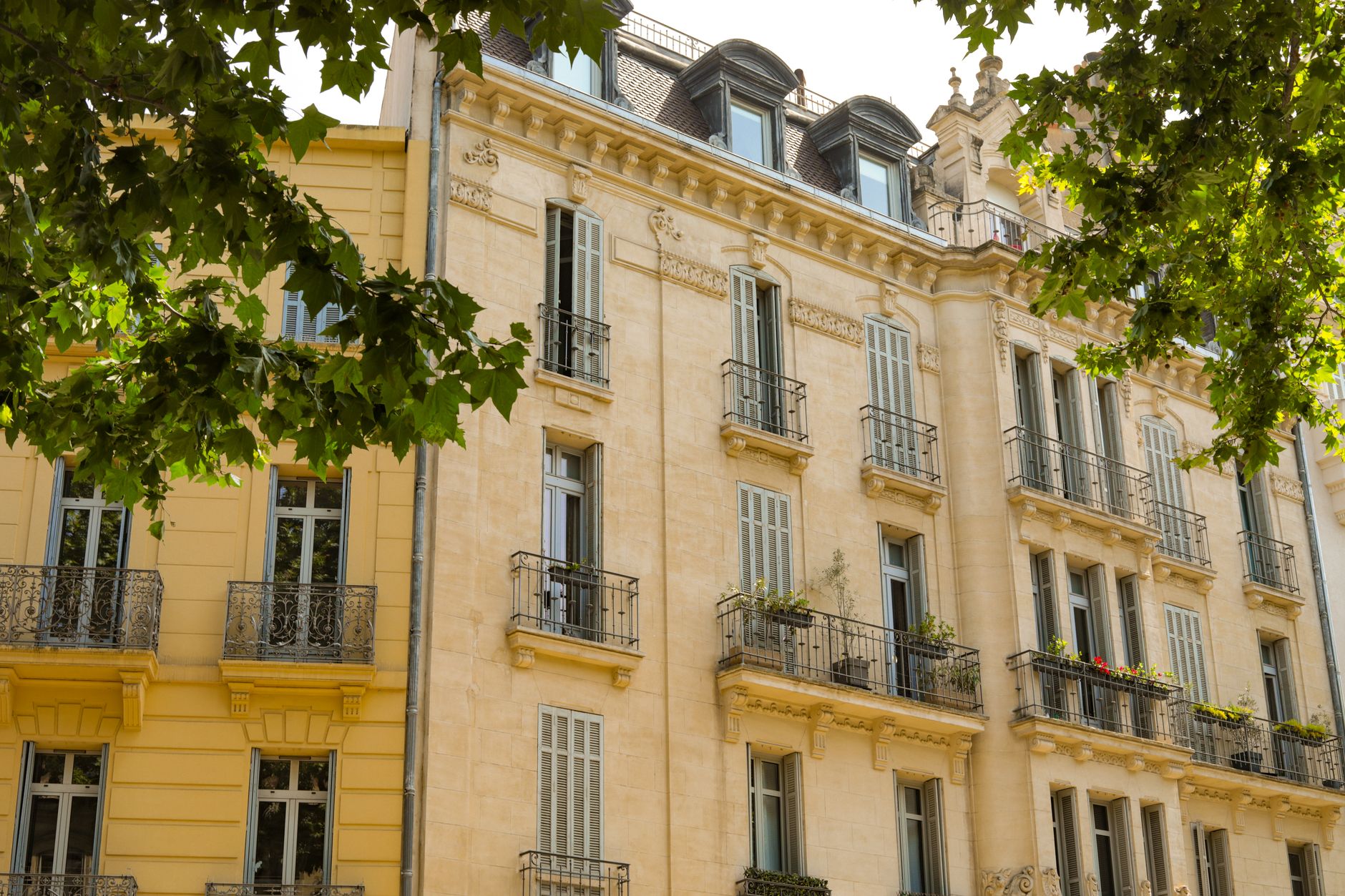 Gestion locative équipe à Fort-de-France